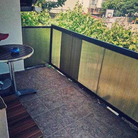Anisia Maison * Constanta