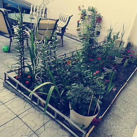 Anisia Maison Homestay Constanta